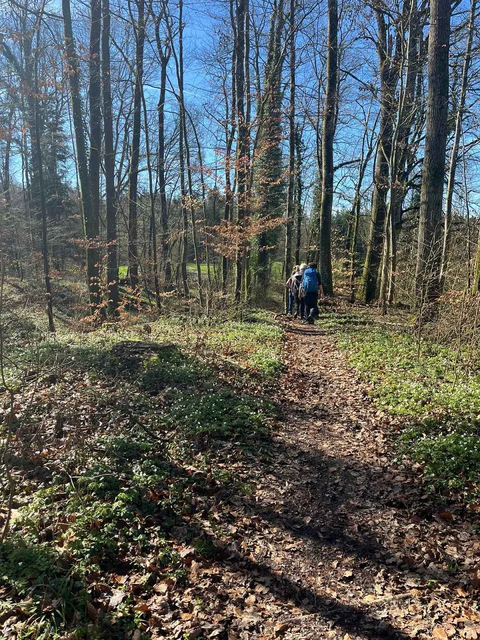 Bodenseetour 19.-20.3.2024 | © C. Maurus