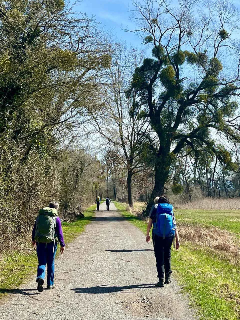 Bodenseetour 19.-20.3.2024 | © C. Maurus