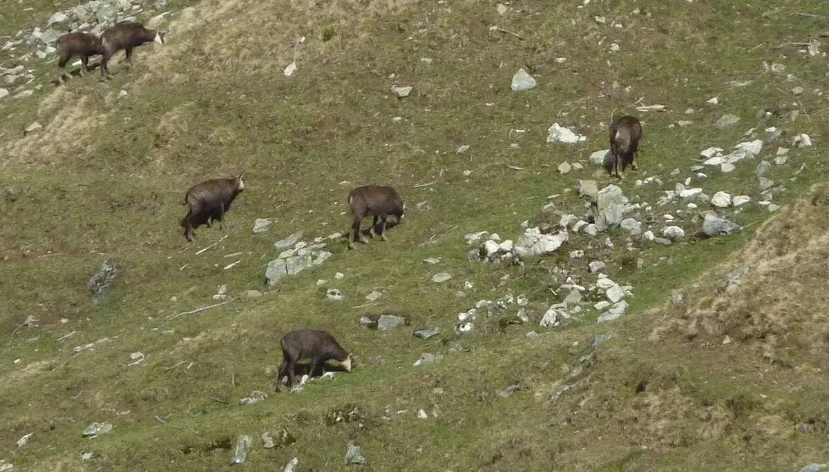 Reuterwanne mit den DAV-Senioren | © M. Bischofberger