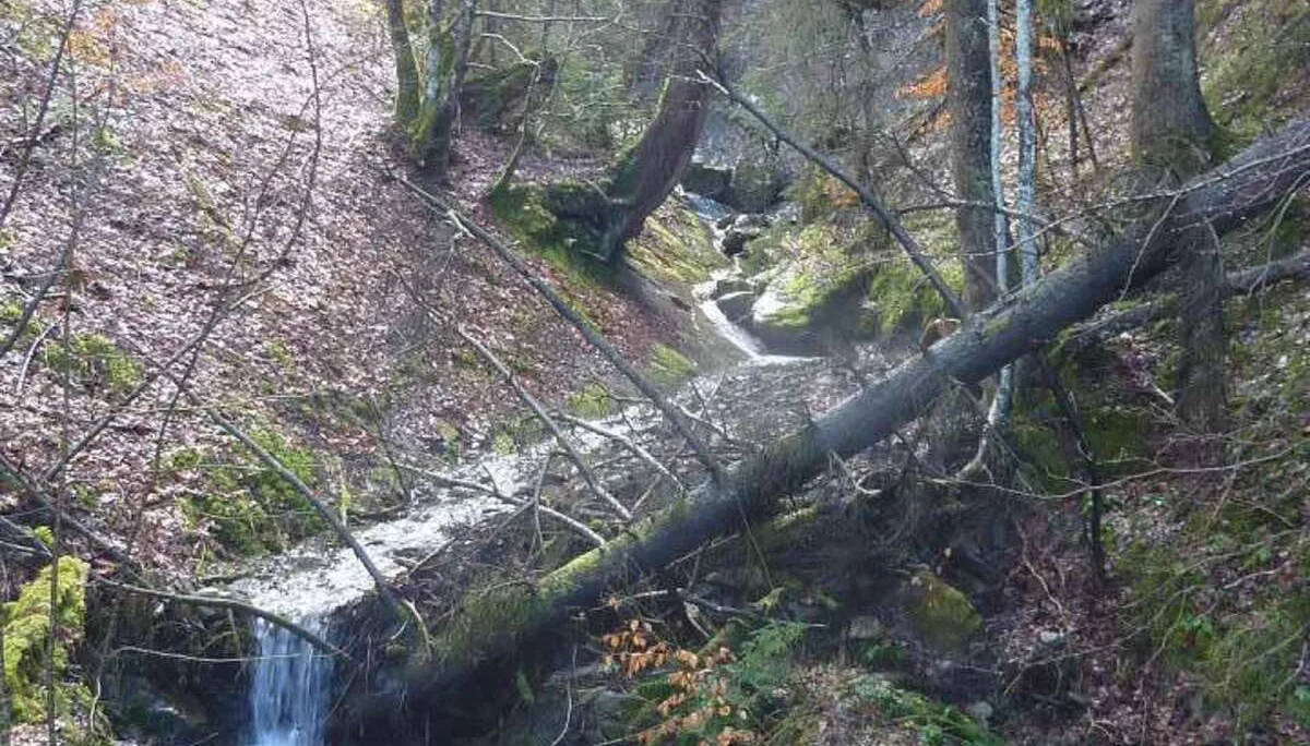 Reuterwanne mit den DAV-Senioren | © M. Bischofberger