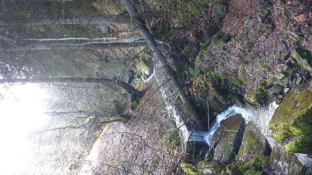 Reuterwanne mit den DAV-Senioren | © M. Bischofberger