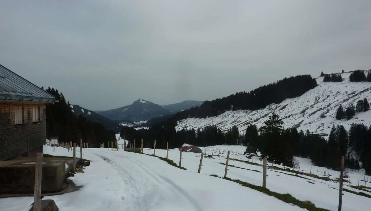 Blick ins Aubachtal | © M. Bischofberger