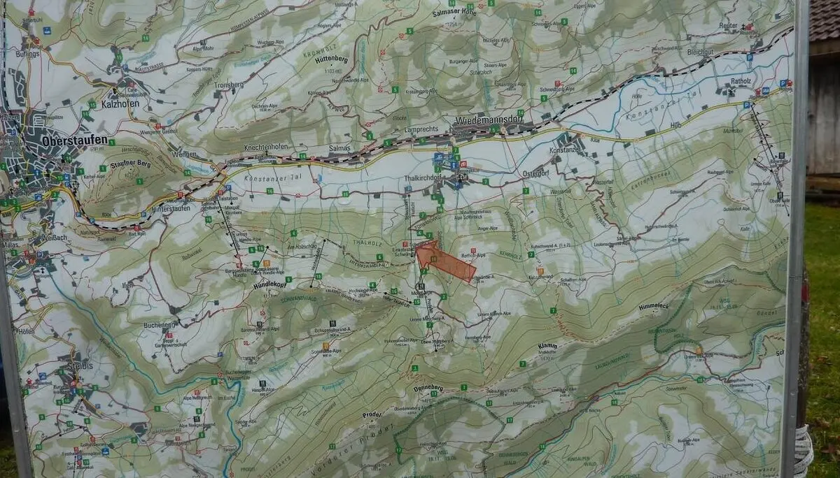 DAV-Senioren besuchen die Hündle-Krokus-Wiesen | © M. Bischofberger