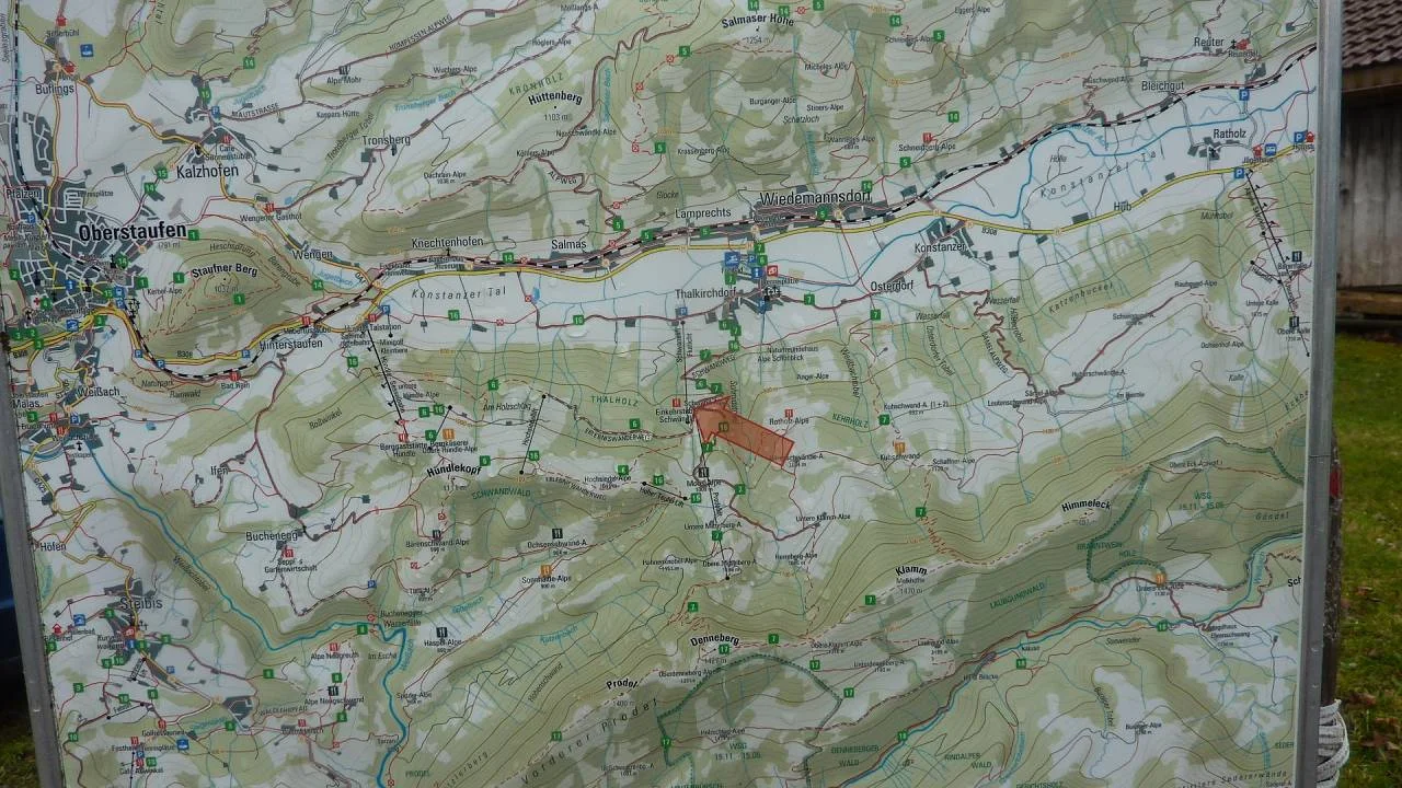 DAV-Senioren besuchen die Hündle-Krokus-Wiesen | © M. Bischofberger