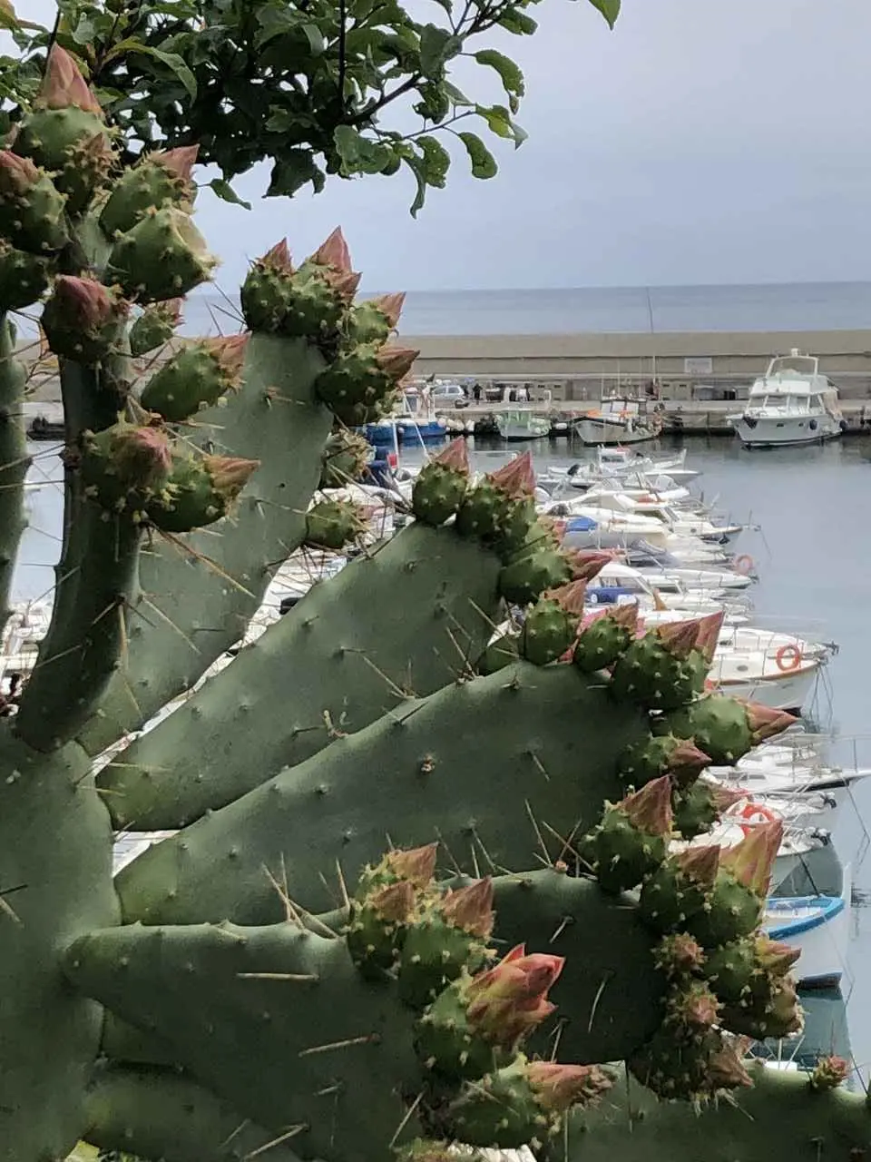 Finale Ligure, 21.4. – 26.4.2024 | © C. Maurus