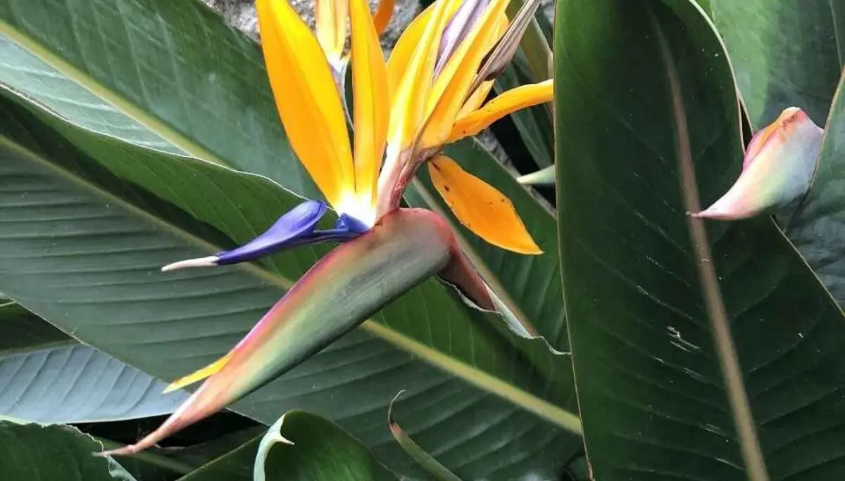 Finale Ligure, 21.4. – 26.4.2024 | © C. Maurus