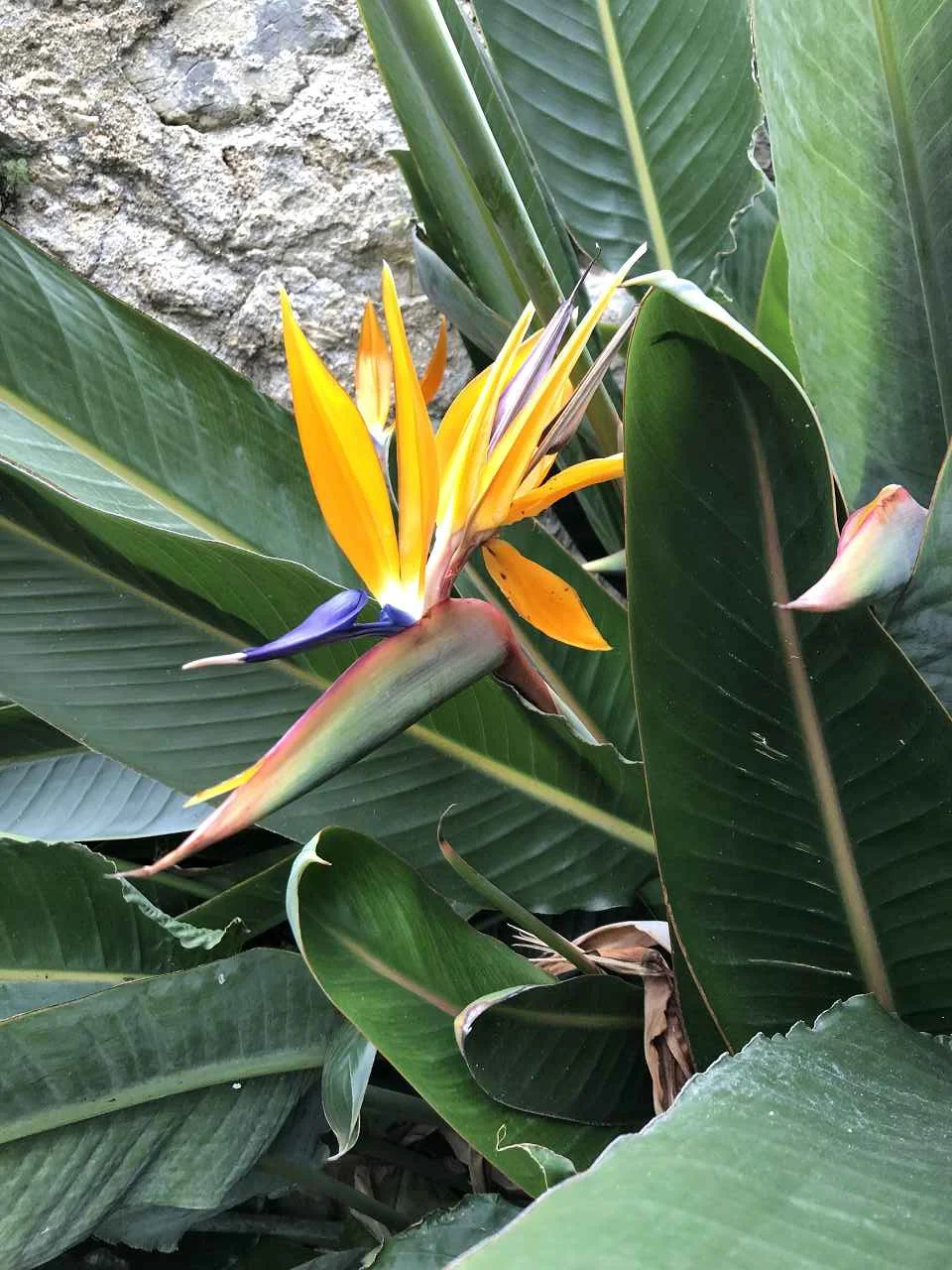 Finale Ligure, 21.4. – 26.4.2024 | © C. Maurus