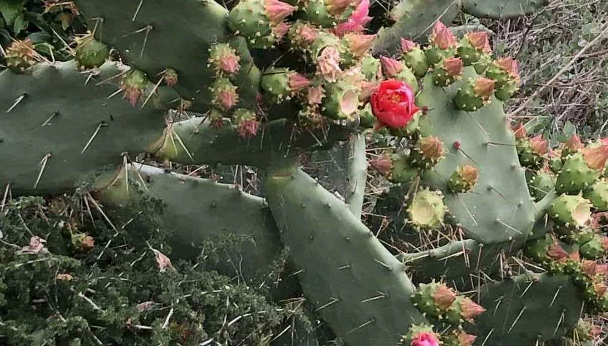 Finale Ligure, 21.4. – 26.4.2024 | © C. Maurus