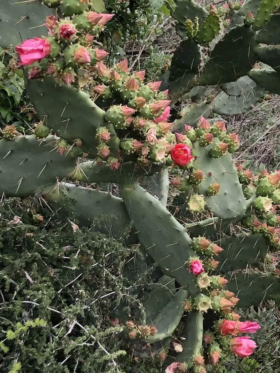 Finale Ligure, 21.4. – 26.4.2024 | © C. Maurus