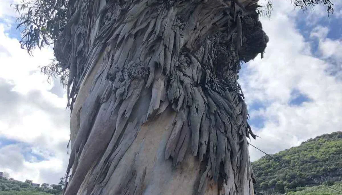 Finale Ligure, 21.4. – 26.4.2024 | © C. Maurus