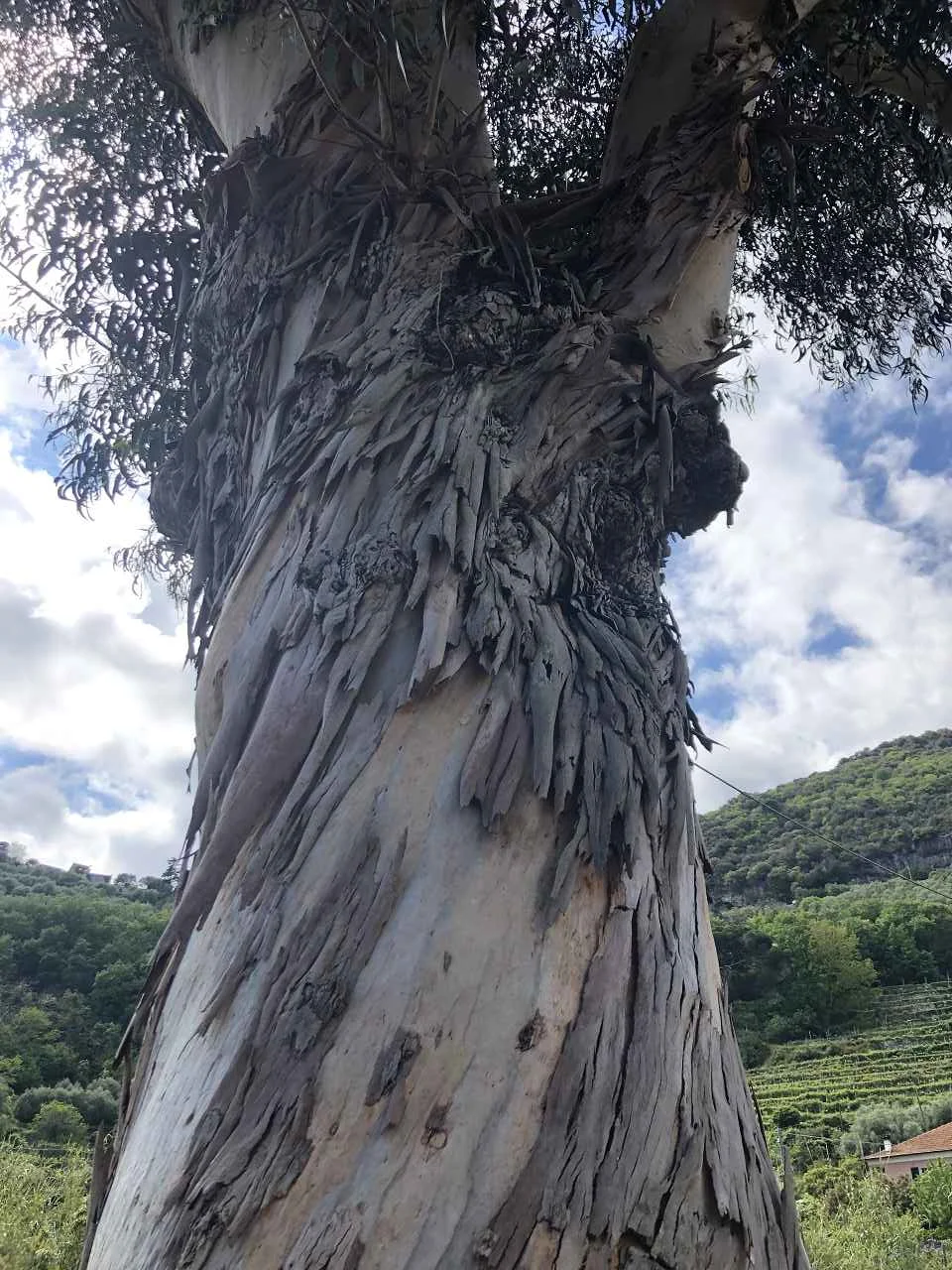 Finale Ligure, 21.4. – 26.4.2024 | © C. Maurus