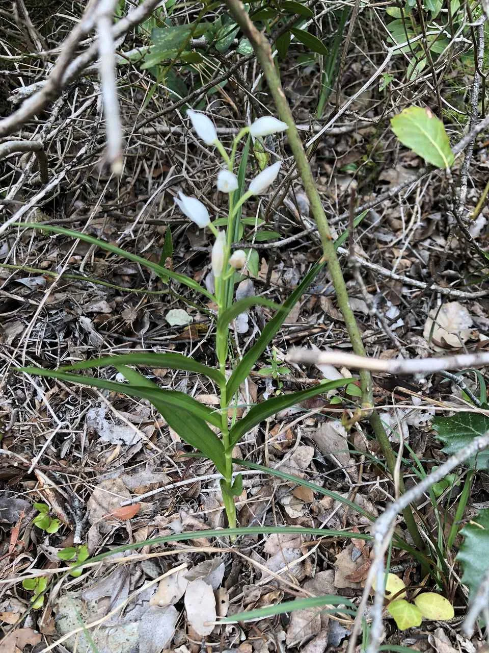 Finale Ligure, 21.4. – 26.4.2024 | © C. Maurus