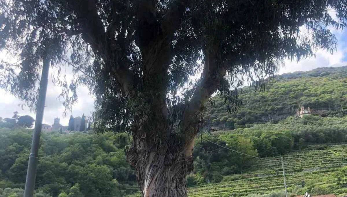 Finale Ligure, 21.4. – 26.4.2024 | © C. Maurus