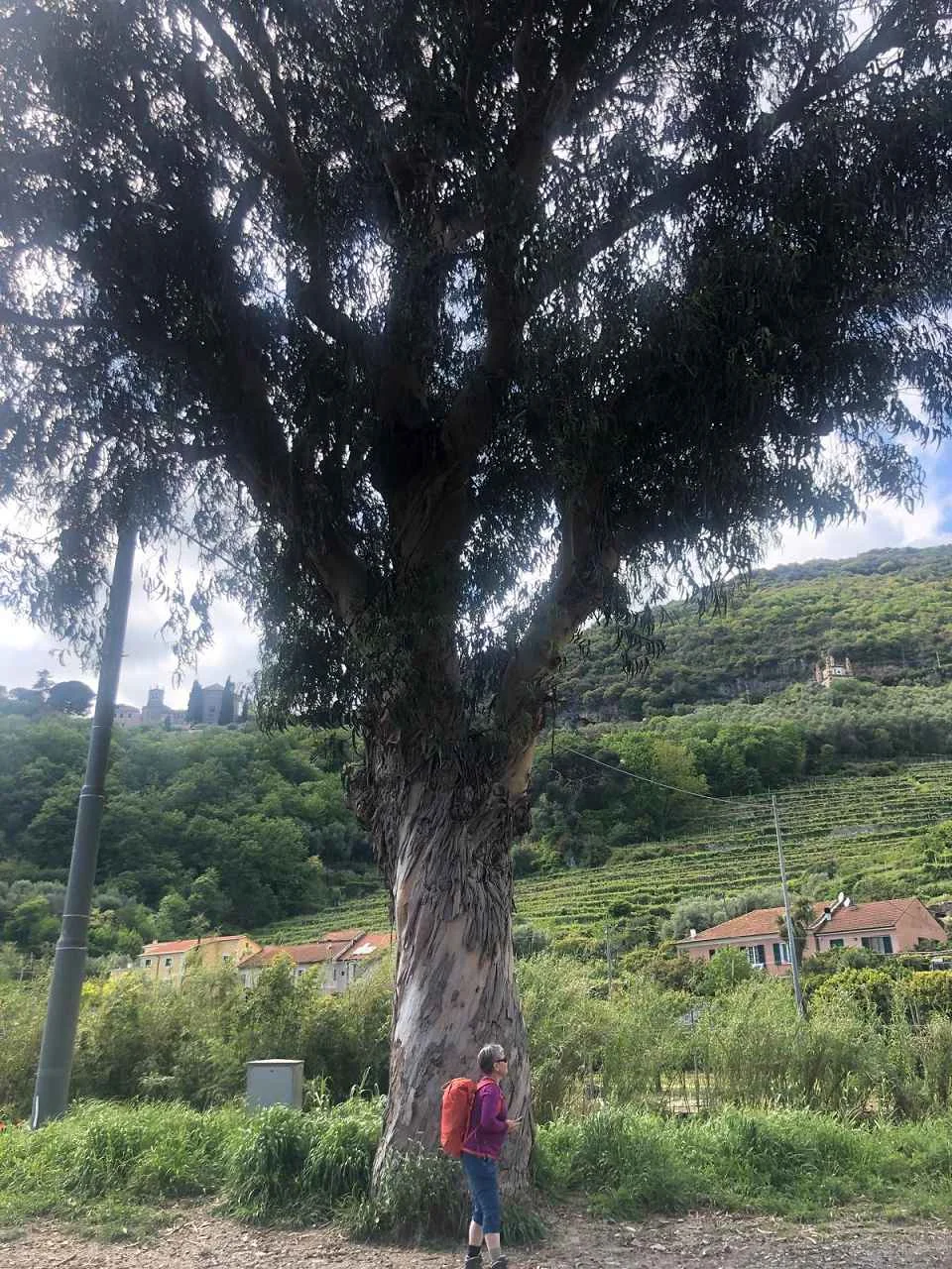 Finale Ligure, 21.4. – 26.4.2024 | © C. Maurus