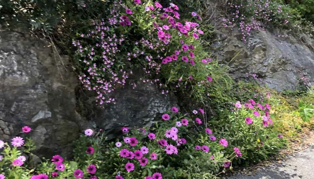 Finale Ligure, 21.4. – 26.4.2024 | © C. Maurus