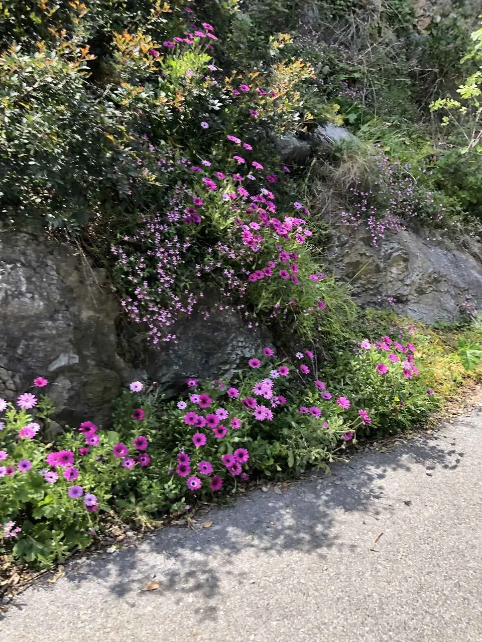 Finale Ligure, 21.4. – 26.4.2024 | © C. Maurus