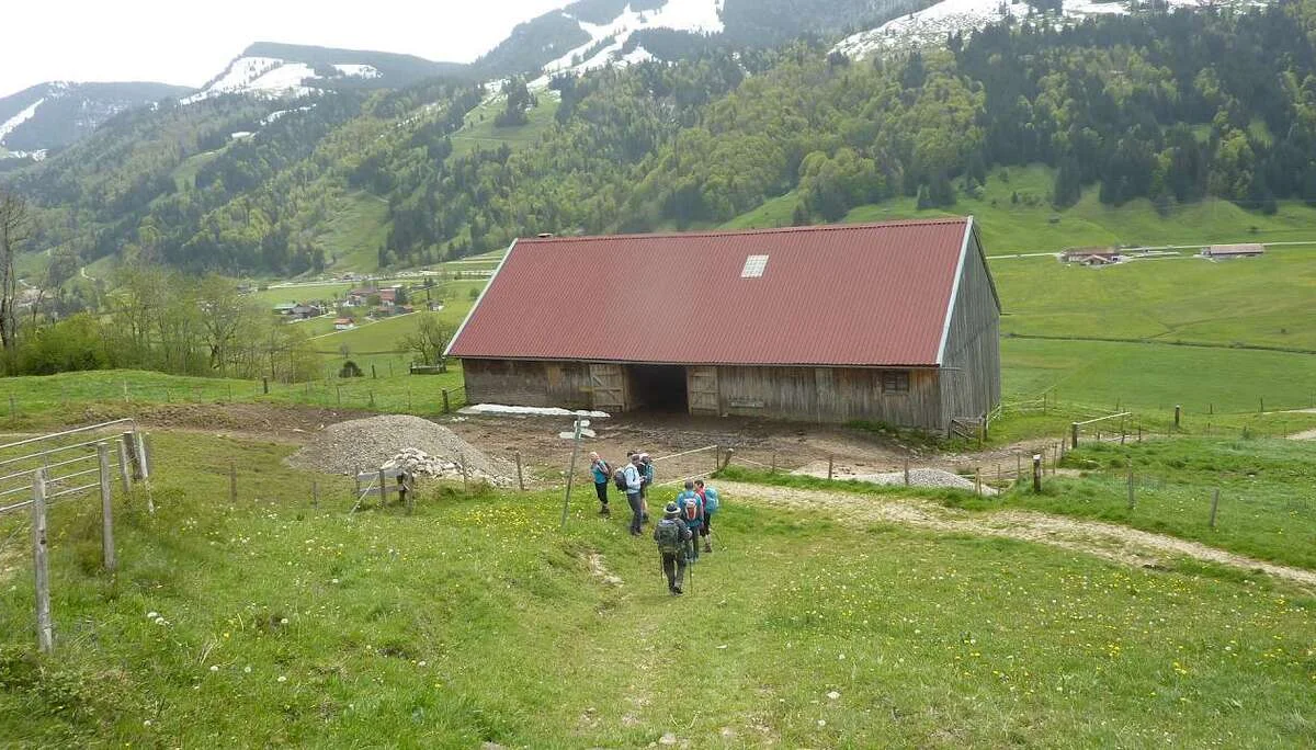 Schneidberg-Alpe | © M. Bischofberger