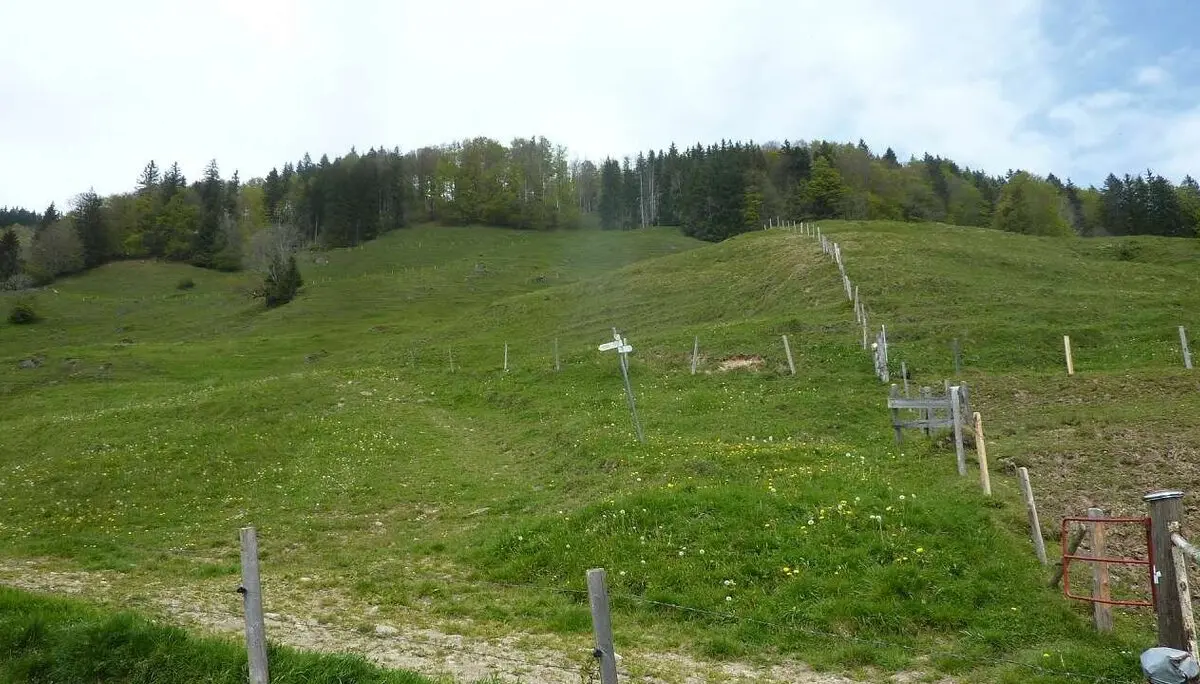 unser Weg rechts vom Zaun | © M. Bischofberger