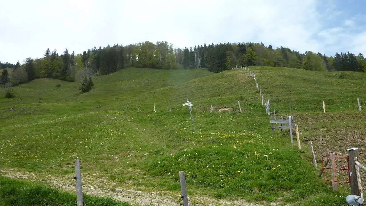 unser Weg rechts vom Zaun | © M. Bischofberger