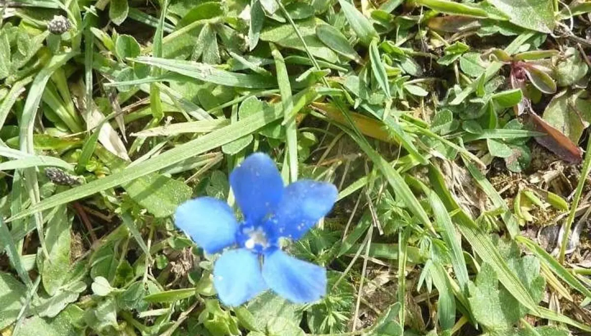 DAV -Senioren  auf der Thaler Höhe | © M. Bischofberger