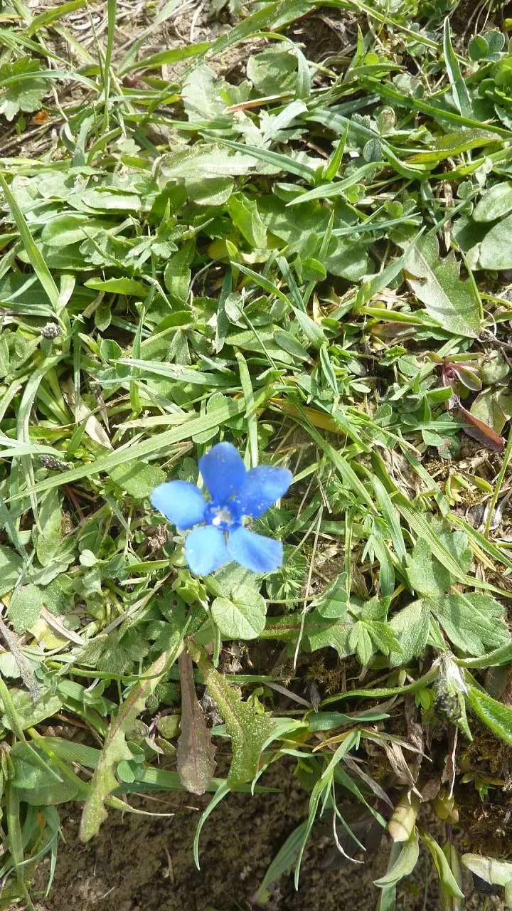 DAV -Senioren  auf der Thaler Höhe | © M. Bischofberger