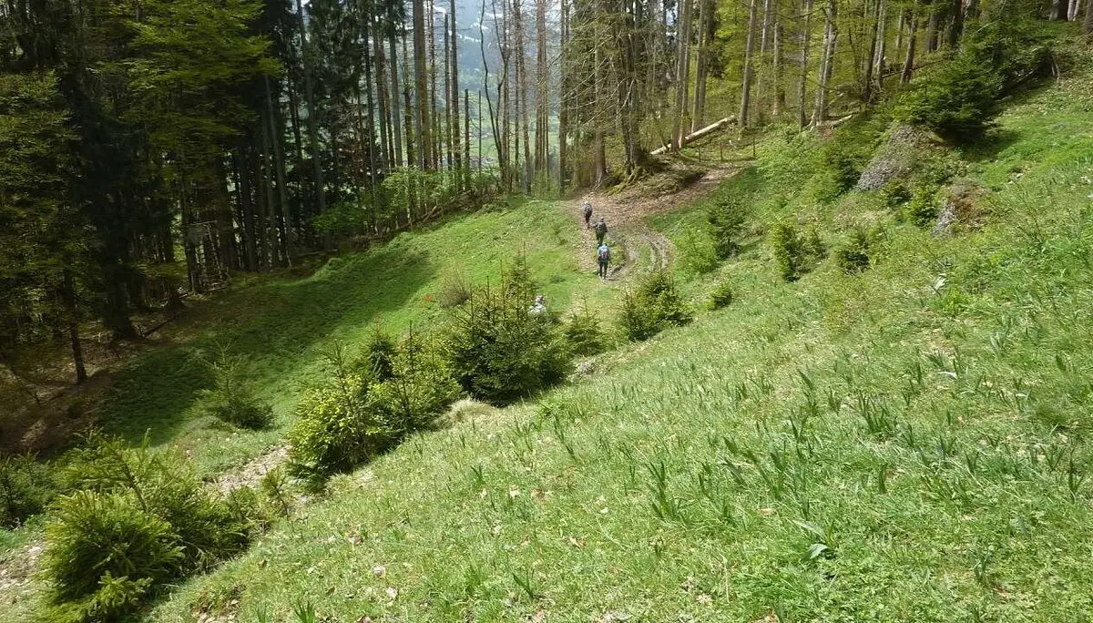 Wegsuche | © M. Bischofberger