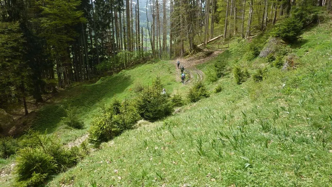 Wegsuche | © M. Bischofberger