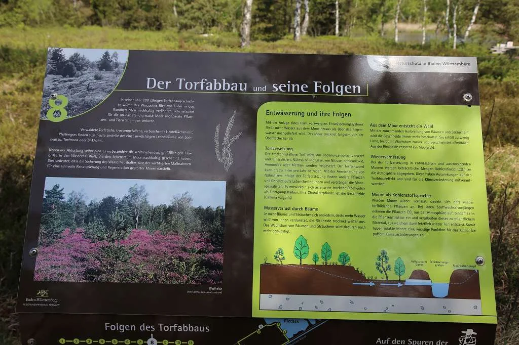 37. Deutsch-Französisches Partnerschaftstreffen in Wangen | © DAV Wangen