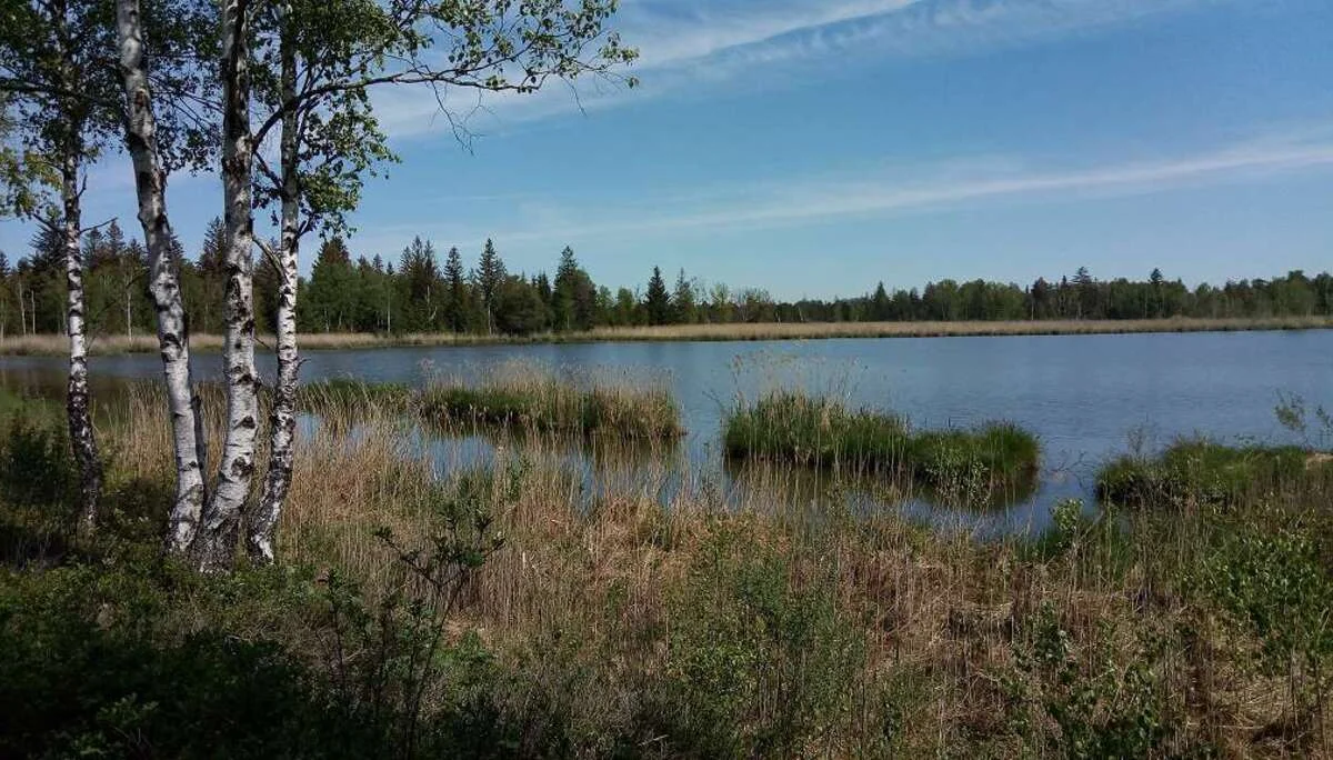 37. Deutsch-Französisches Partnerschaftstreffen in Wangen | © DAV Wangen