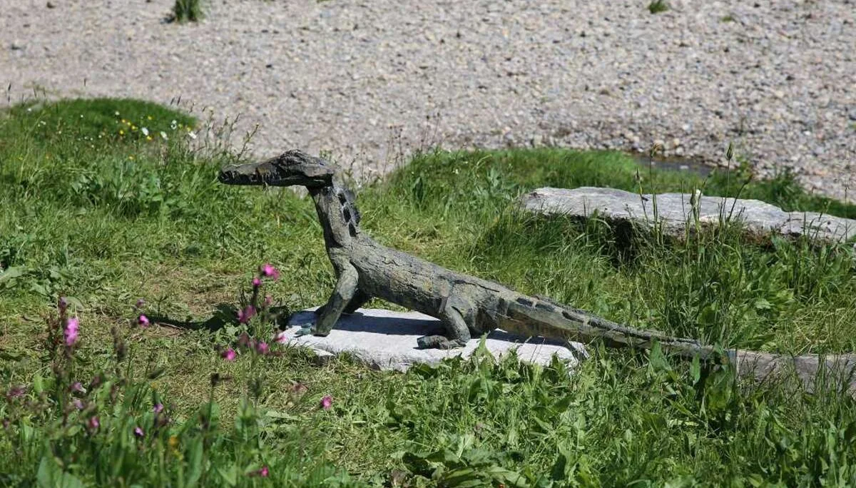 37. Deutsch-Französisches Partnerschaftstreffen in Wangen | © DAV Wangen