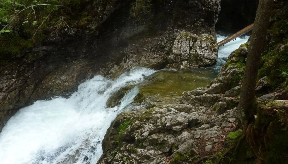 Naturwunder am Schwarzwasserbach  bei Riezlern | © Max Bischofberger 