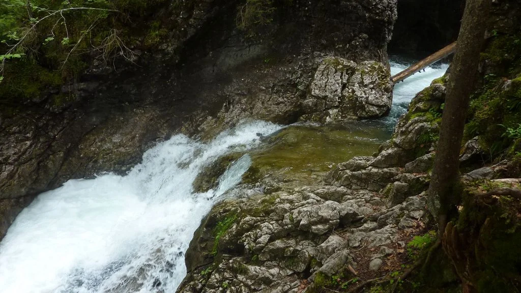 Naturwunder am Schwarzwasserbach  bei Riezlern | © Max Bischofberger 