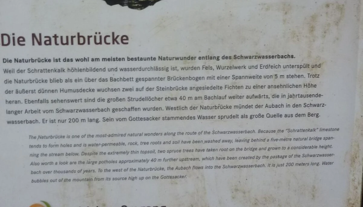 Naturwunder am Schwarzwasserbach  bei Riezlern | © Max Bischofberger 