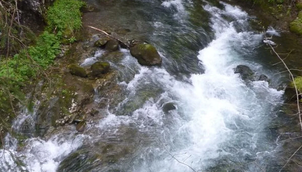 Naturwunder am Schwarzwasserbach  bei Riezlern | © Max Bischofberger 