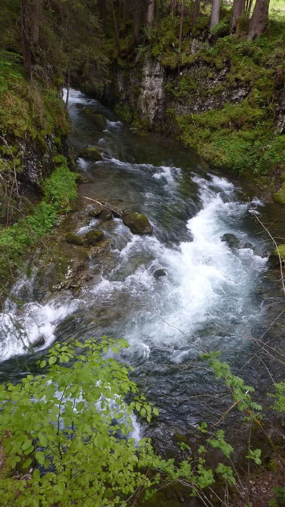 Naturwunder am Schwarzwasserbach  bei Riezlern | © Max Bischofberger 