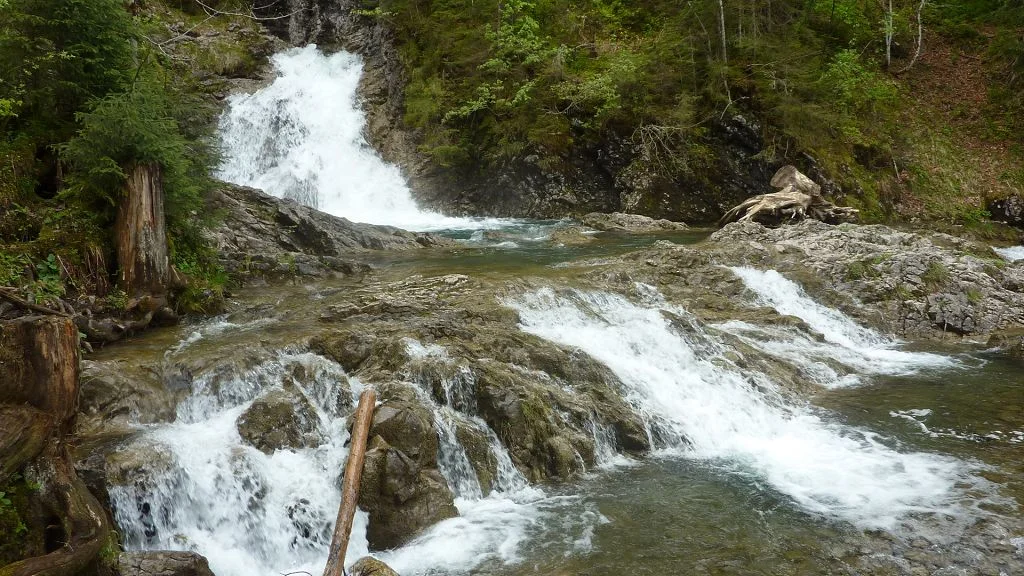 entlang des Schwarzwasserbachs im Schwarzwassertal | © Max Bischofberger 