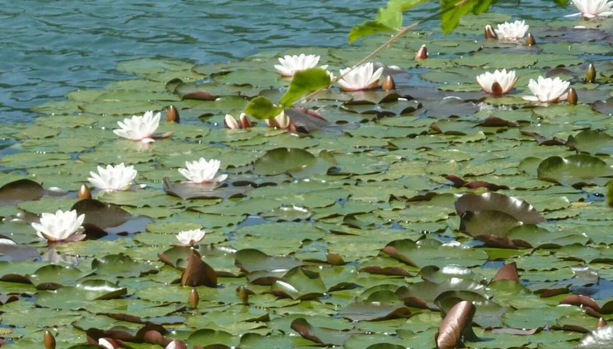 Im Faulenbachtal | © Bischofberger Max