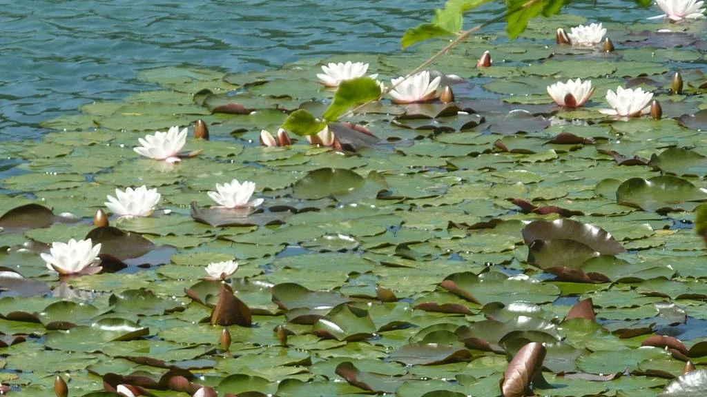 Im Faulenbachtal | © Bischofberger Max