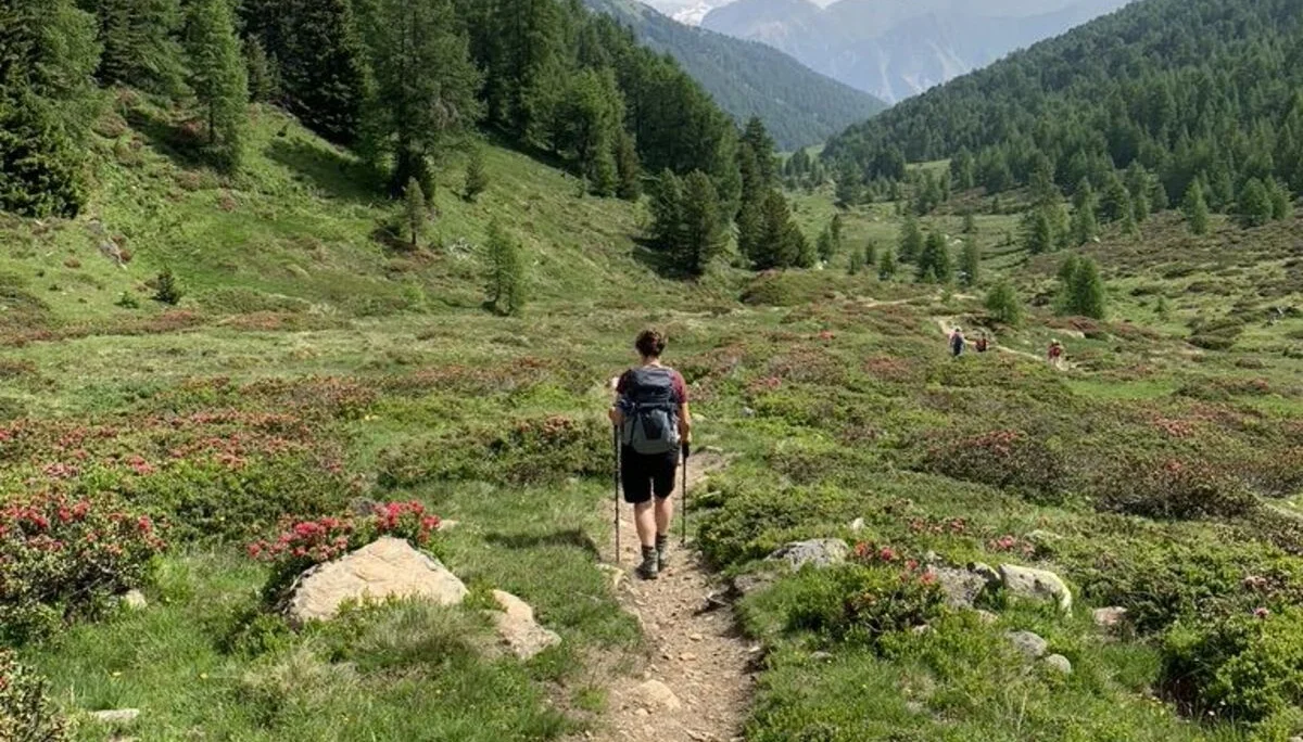 Weg hinunter | © DAV Wangen