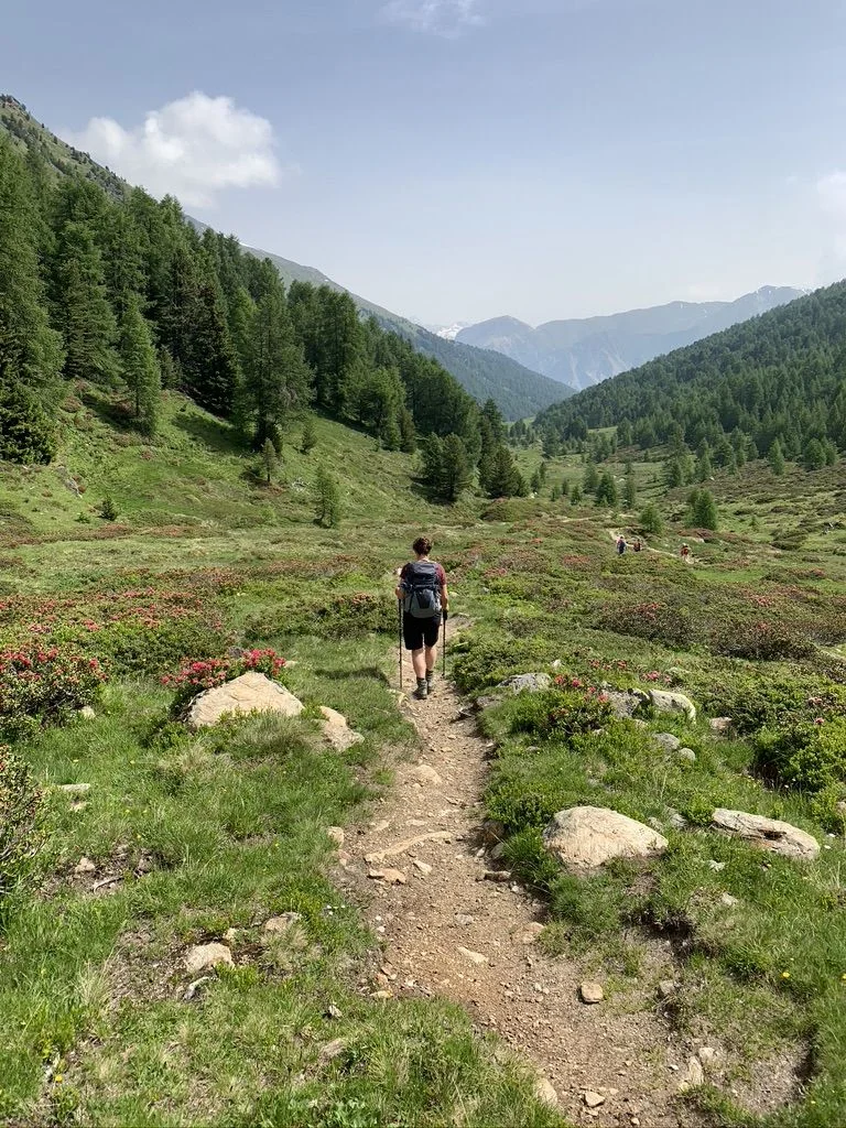 Weg hinunter | © DAV Wangen