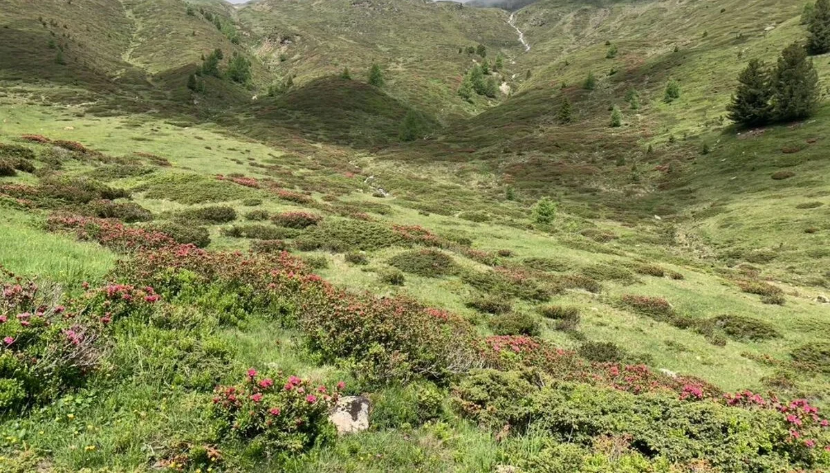 Landschaft | © DAV Wangen