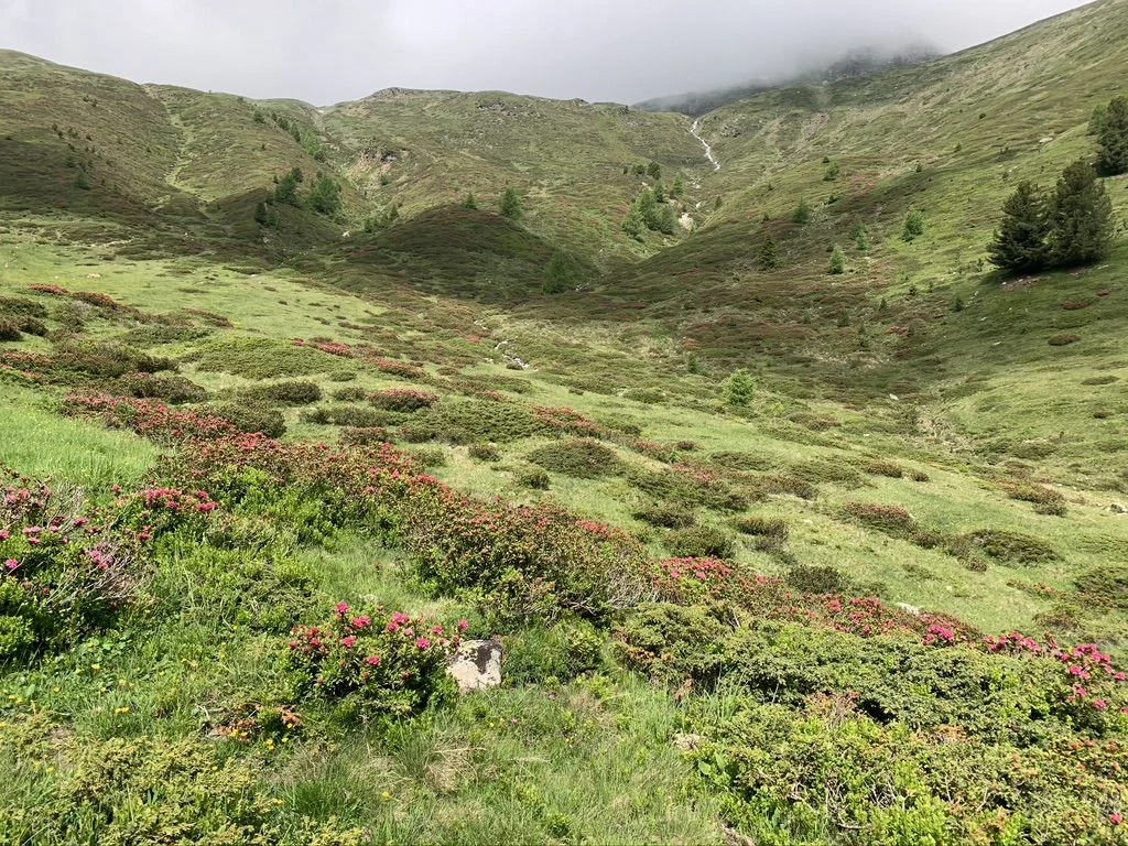 Landschaft | © DAV Wangen