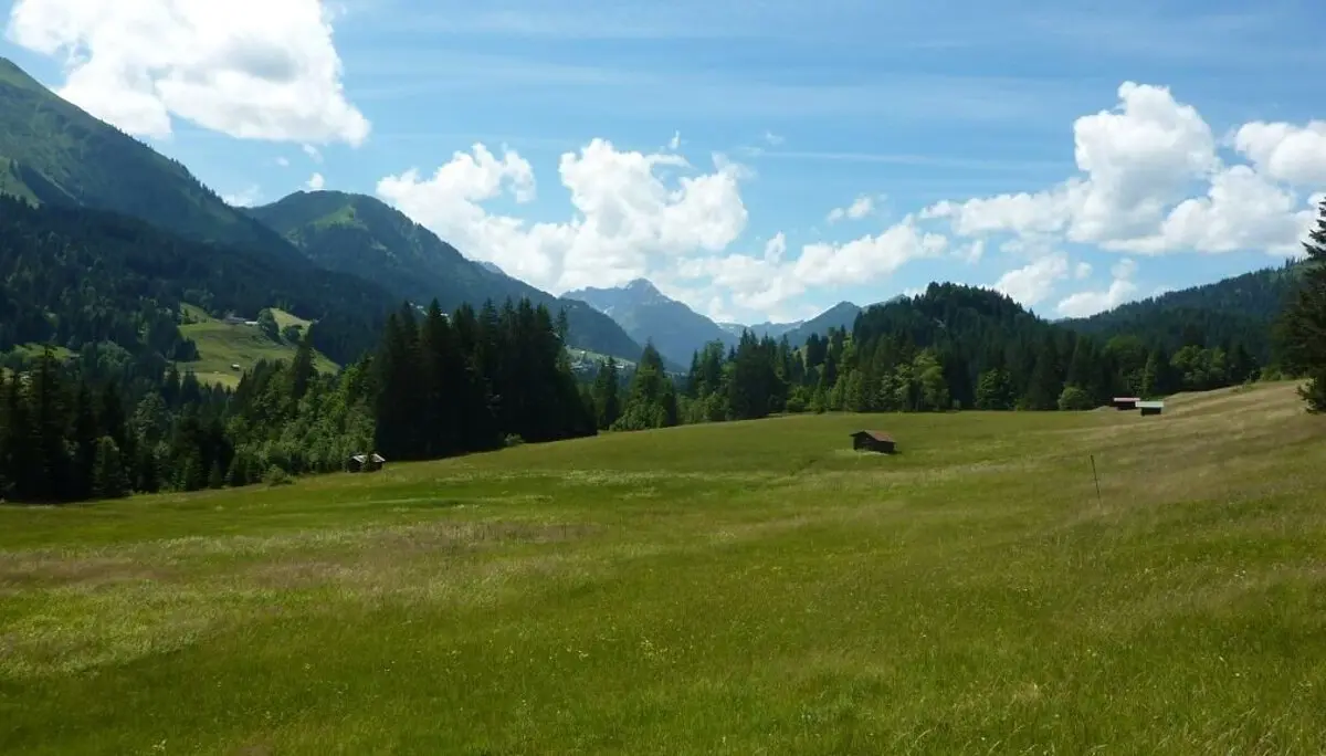 Blick zum Widderstein | © Bischofberger Max