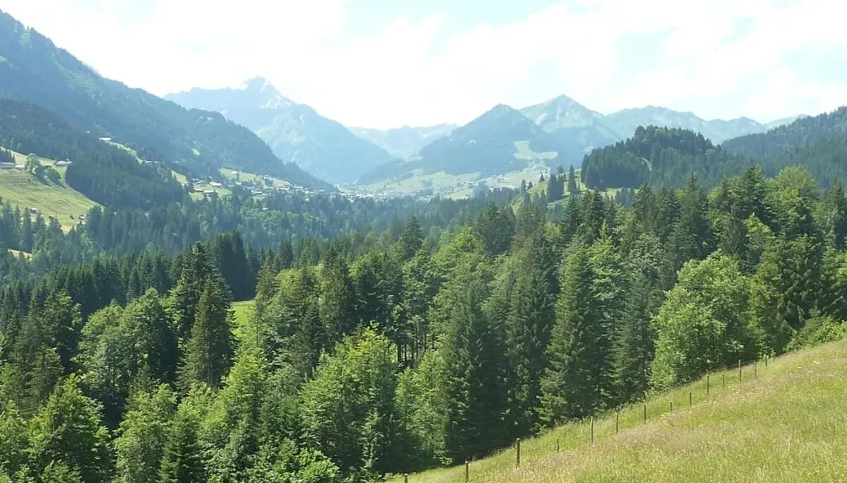 Mittelberg | © Bischofberger Max