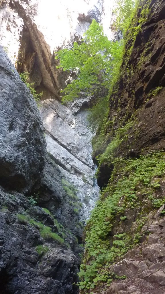 DAV-Senioren erkunden die Breitachklamm  | © Bischofberger Max