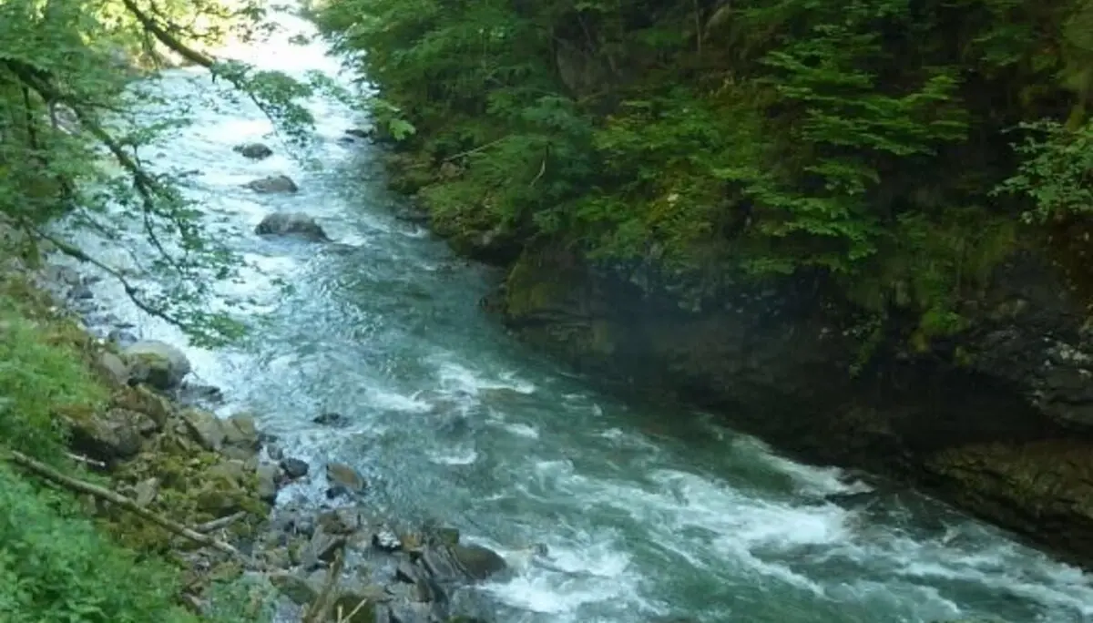 Entlang der Breitach | © Bischofberger Max