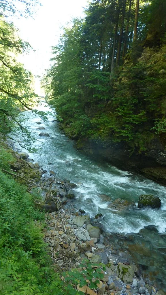 Entlang der Breitach | © Bischofberger Max