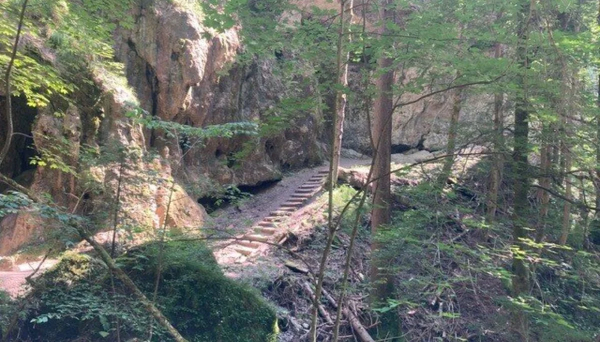 Über die Hinanger Wasserfälle zum Sonnenkopf | © DAV Wangen