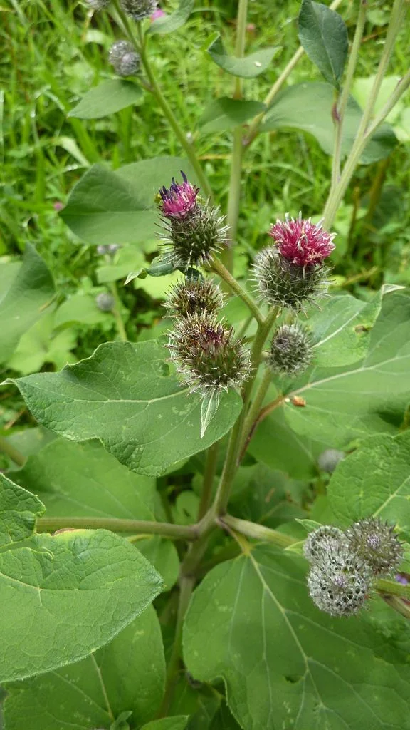 Ins Oytal | © Bischofberger Max