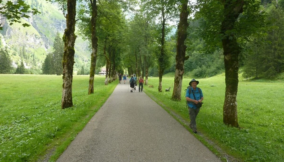 Bergahorn-Allee | © Bischofberger Max